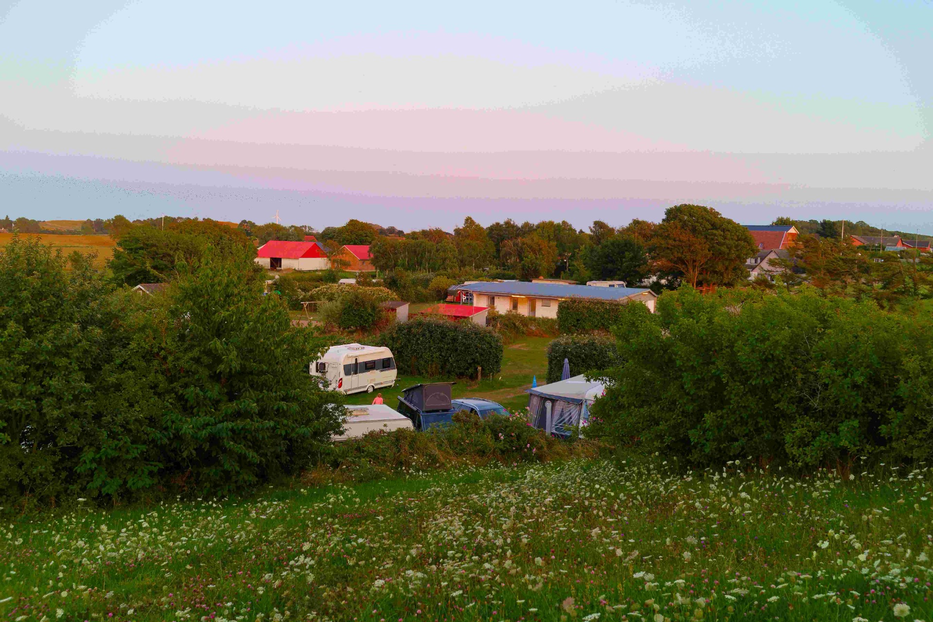 Højen tæt på de vilde heste